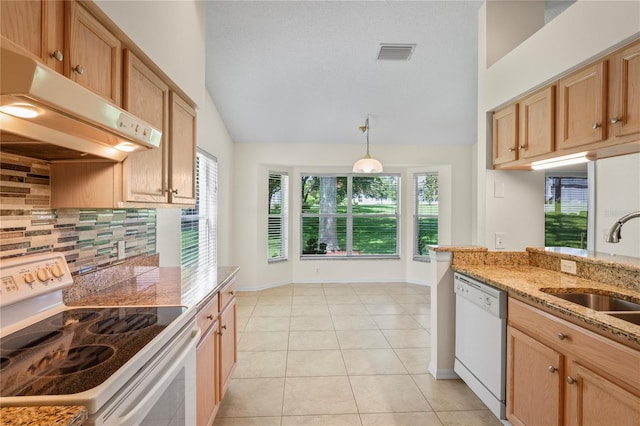 11412 Alden Ct, Hudson, FL 34667 - kitchen with white appliances, under cabinet range hood, lofted ceiling, decorative backsplash, and healthy amount of natural light