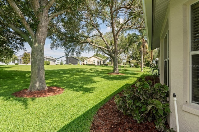 11412 Alden Ct, Hudson, FL 34667 - view of green lawn