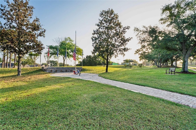 11412 Alden Ct, Hudson, FL 34667 - surrounding community featuring a lawn