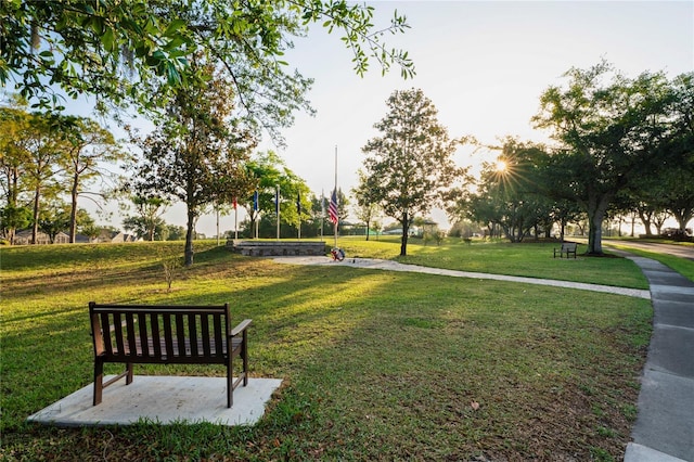 11412 Alden Ct, Hudson, FL 34667 - view of home's community featuring a lawn