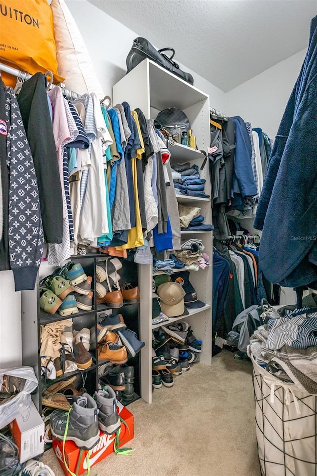 851 3rd Ave N, Saint Petersburg, FL 33701 - walk in closet featuring carpet