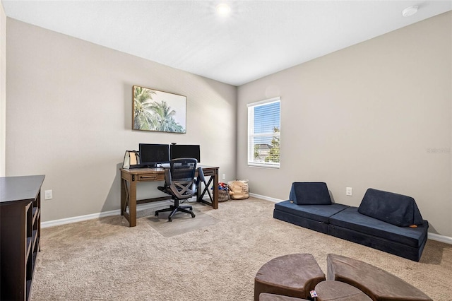 33854 Floating Heart Ct, Wesley Chapel, FL 33545 - office area with carpet floors