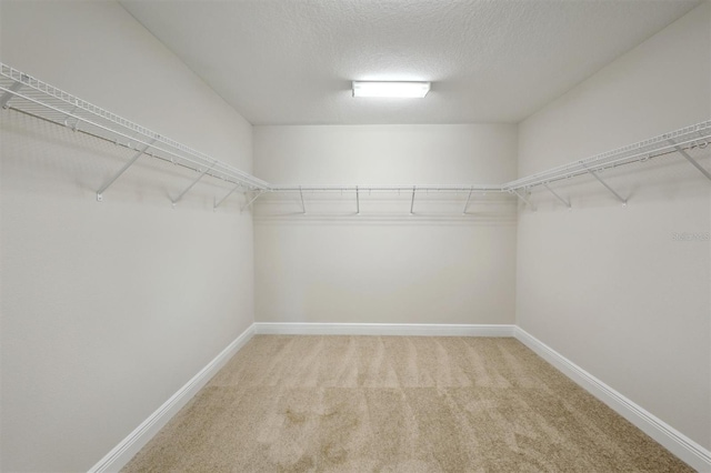 12758 Oak Hill Way, Parrish, FL 34219 - spacious closet featuring carpet flooring