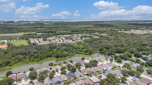 10039 Creek Bluff Dr, Riverview, FL 33578 - aerial perspective of suburban area with a large body of water and a heavily wooded area