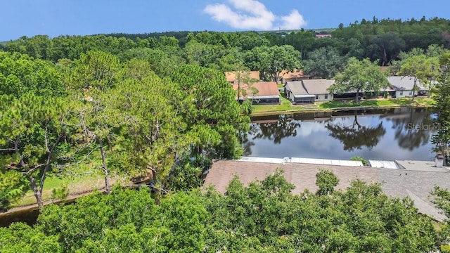 3902 Shoreside Cir, Tampa, FL 33624 - drone / aerial view of a nearby body of water and a heavily wooded area