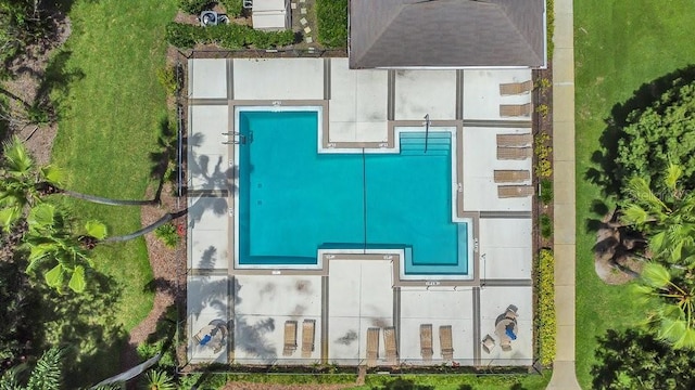 3902 Shoreside Cir, Tampa, FL 33624 - aerial view of a pool area