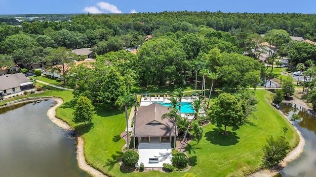 3902 Shoreside Cir, Tampa, FL 33624 - bird's eye view of a forest and a large body of water