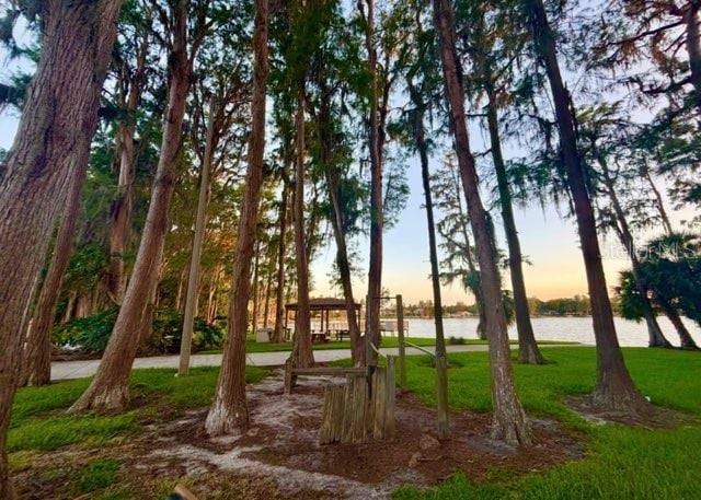 5110 Corvette Dr, Tampa, FL 33624 - view of community with a water view and a lawn