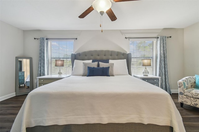 28568 Tranquil Lake Cir, Wesley Chapel, FL 33543 - bedroom featuring dark wood finished floors, multiple windows, and ceiling fan