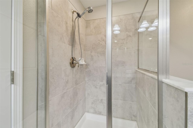 28568 Tranquil Lake Cir, Wesley Chapel, FL 33543 - bathroom featuring a stall shower