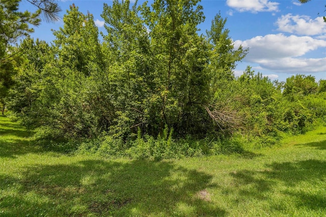28568 Tranquil Lake Cir, Wesley Chapel, FL 33543 - view of woods