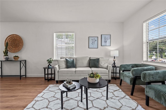 1743 Fulton Ave, Clearwater, FL 33755 - living room featuring wood finished floors