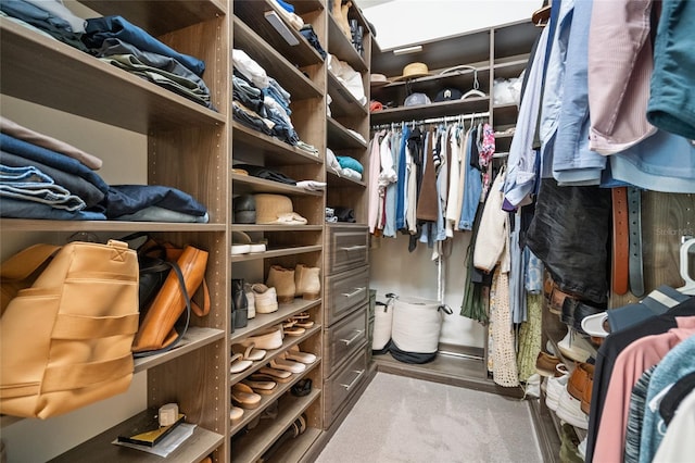 2182 Trevor Rd, Palm Harbor, FL 34683 - view of spacious closet