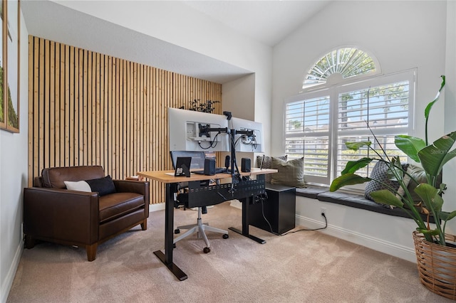 2182 Trevor Rd, Palm Harbor, FL 34683 - office featuring carpet floors and high vaulted ceiling