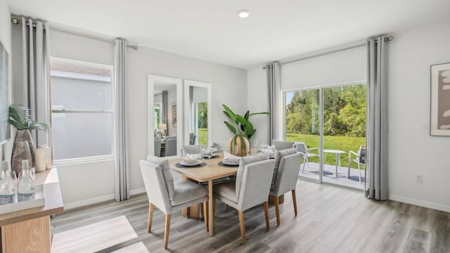 2645 Birney Run, Zephyrhills, FL 33541 - dining area with light wood finished floors and baseboards