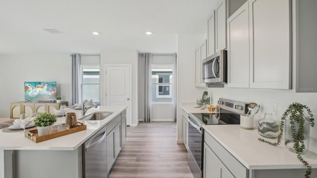 2645 Birney Run, Zephyrhills, FL 33541 - kitchen with stainless steel appliances, light wood finished floors, light countertops, a center island with sink, and gray cabinetry