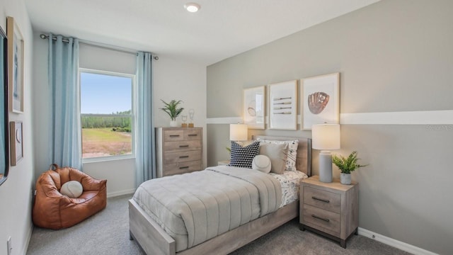 2645 Birney Run, Zephyrhills, FL 33541 - carpeted bedroom featuring baseboards