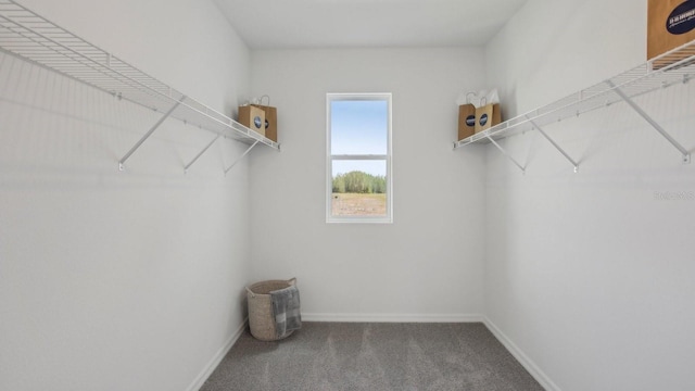 2645 Birney Run, Zephyrhills, FL 33541 - spacious closet featuring carpet flooring