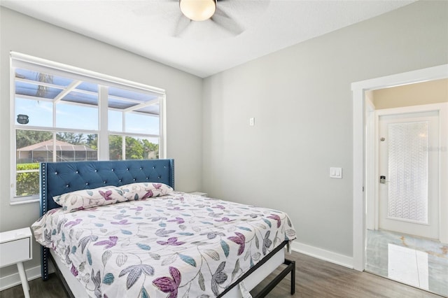 19113 Golden Cacoon Pl, Lutz, FL 33558 - bedroom with dark wood finished floors and a ceiling fan