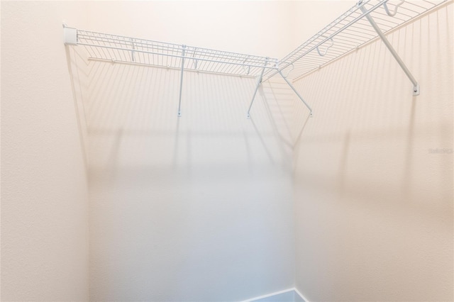 8749 Drummer Plank Dr, Wesley Chapel, FL 33545 - view of walk in closet