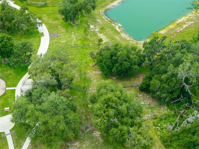 8749 Drummer Plank Dr, Wesley Chapel, FL 33545 - view of property location with a large body of water