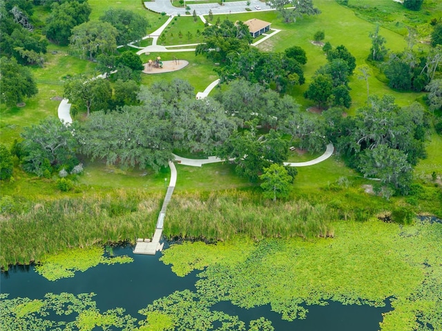 8749 Drummer Plank Dr, Wesley Chapel, FL 33545 - bird's eye view of a large body of water