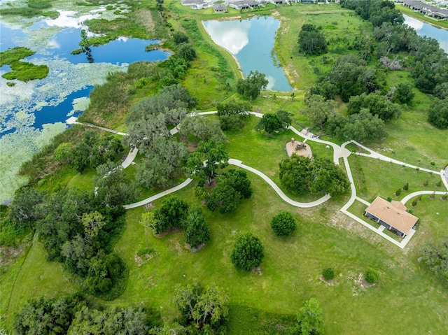 8749 Drummer Plank Dr, Wesley Chapel, FL 33545 - bird's eye view of a large body of water