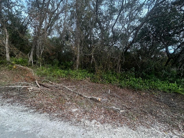 6330 Mike Ln, Webster, FL 33597