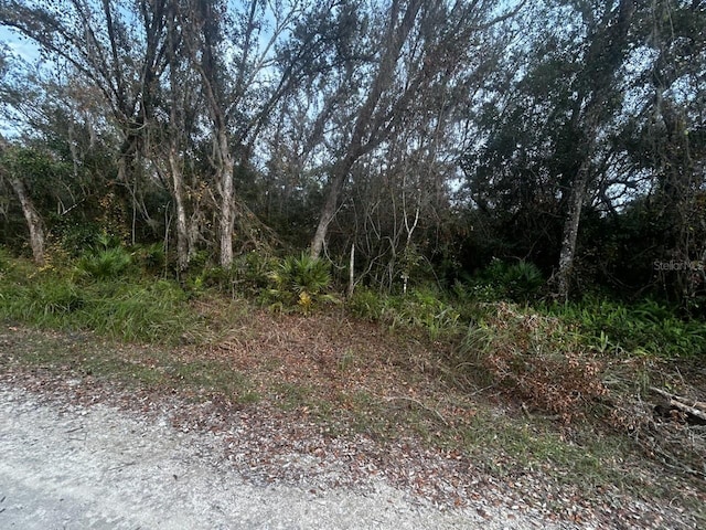 6330 Mike Ln, Webster, FL 33597