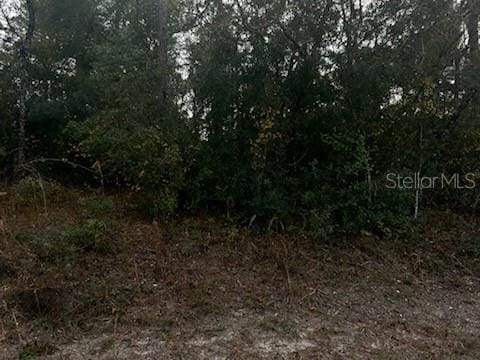 6330 Mike Ln, Webster, FL 33597