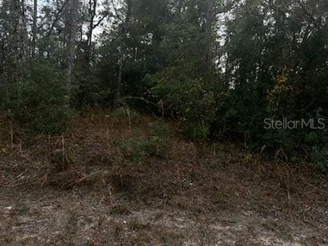 6330 Mike Ln, Webster, FL 33597
