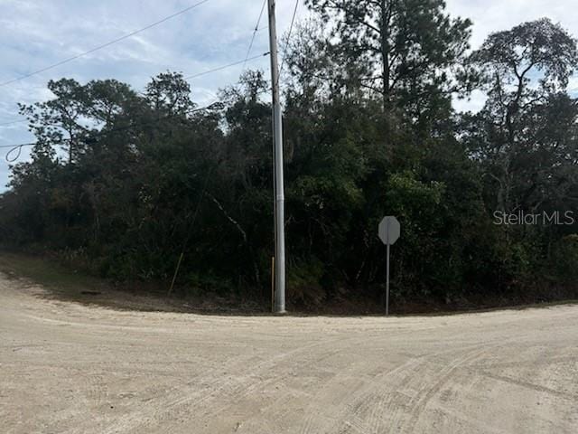 6330 Mike Ln, Webster, FL 33597