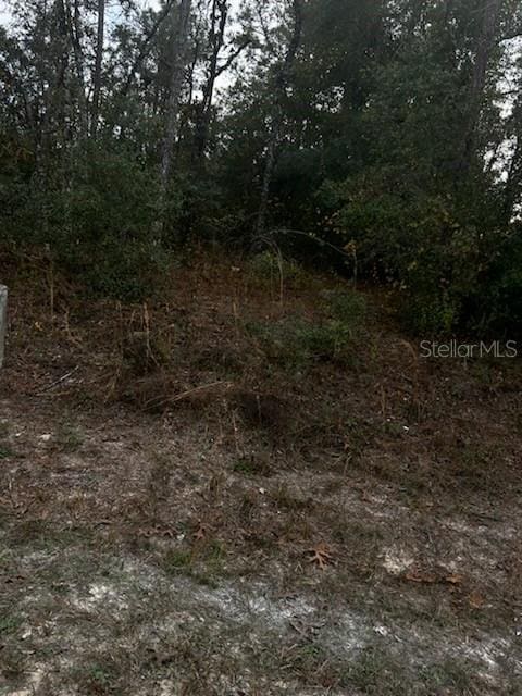 6330 Mike Ln, Webster, FL 33597