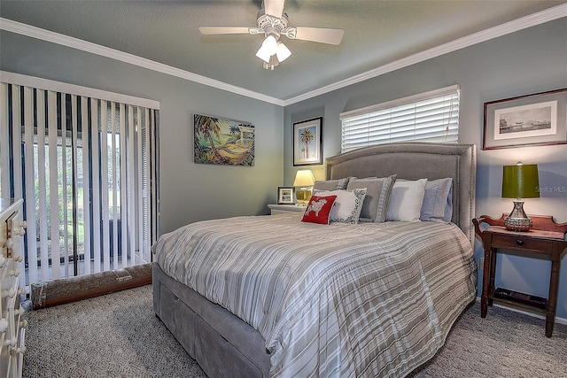 140 Dale Pl, Oldsmar, FL 34677 - carpeted bedroom featuring multiple windows, ornamental molding, and ceiling fan