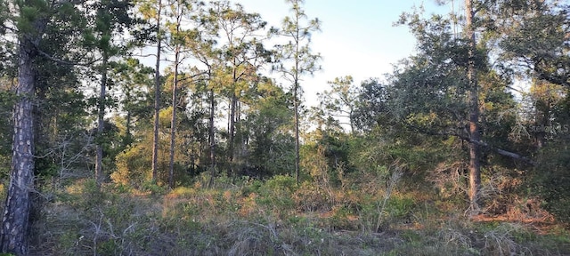 704 Plumosa Dr, Indian Lake Estates, FL 33855 - photo 1