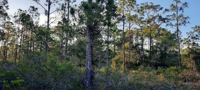 704 Plumosa Dr, Indian Lake Estates, FL 33855 - photo 2