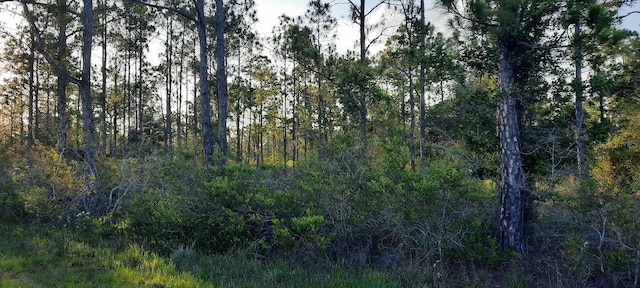 704 Plumosa Dr, Indian Lake Estates, FL 33855 - photo 4