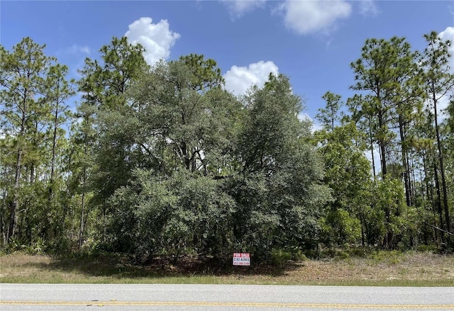 4839 W Mustang Blvd, Beverly Hills, FL 34465 - photo 2