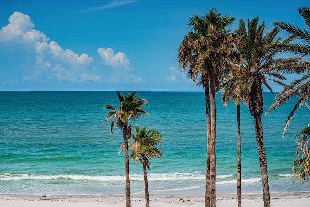 16600 Gulf Blvd Unit 437, North Redington Beach, FL 33708 - water view featuring local beach