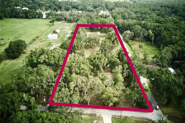 1445 Carter St, Auburndale, FL 33823