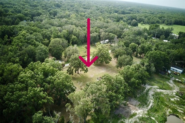 1445 Carter St, Auburndale, FL 33823