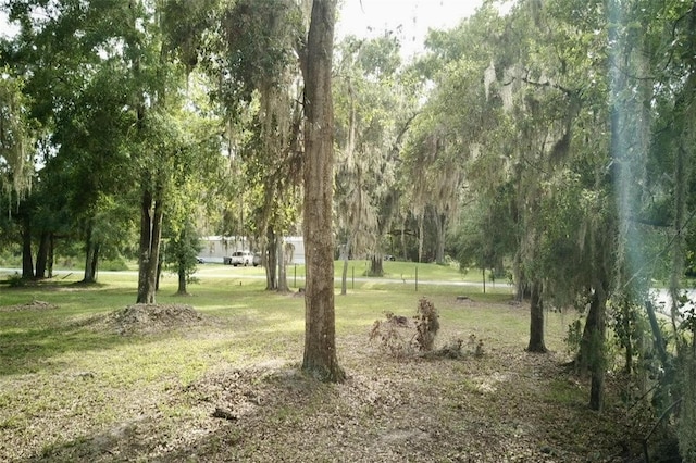 1445 Carter St, Auburndale, FL 33823