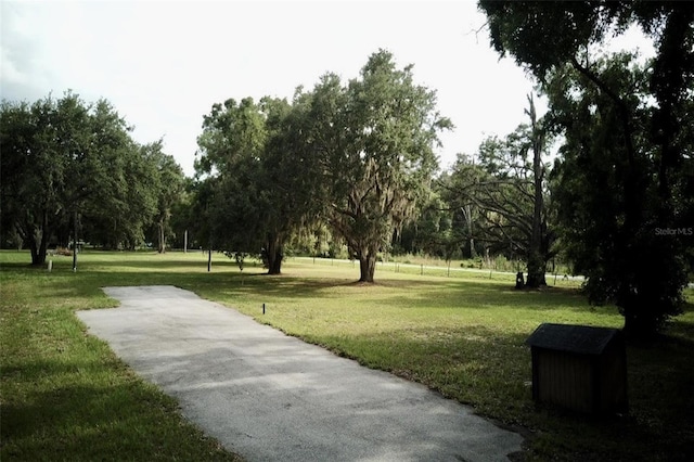 1445 Carter St, Auburndale, FL 33823