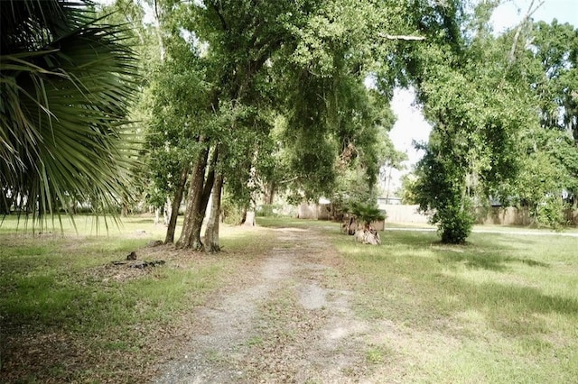 1445 Carter St, Auburndale, FL 33823