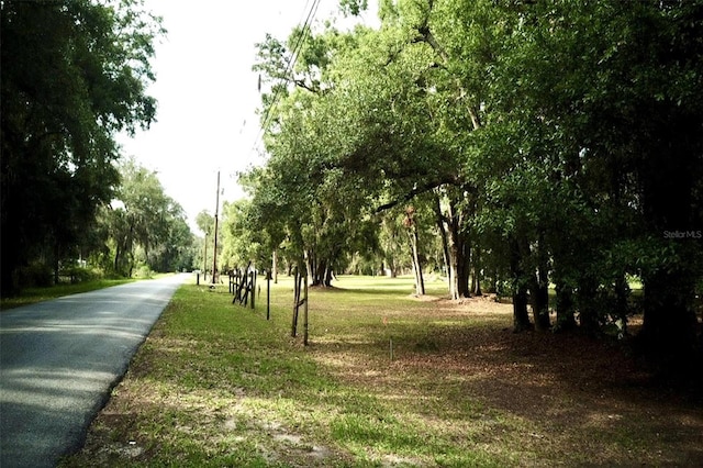 1445 Carter St, Auburndale, FL 33823
