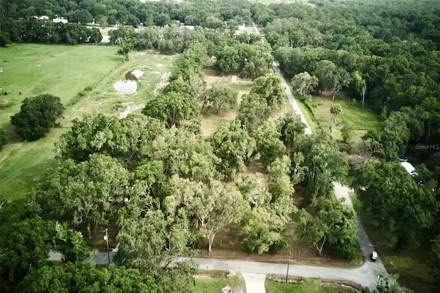 1445 Carter St, Auburndale, FL 33823