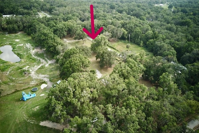1445 Carter St, Auburndale, FL 33823