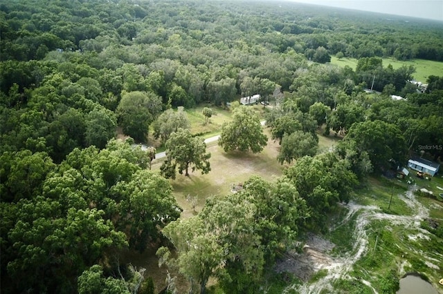 1445 Carter St, Auburndale, FL 33823