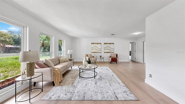 2401 Roberta Ln, Clearwater, FL 33764 - photo 19