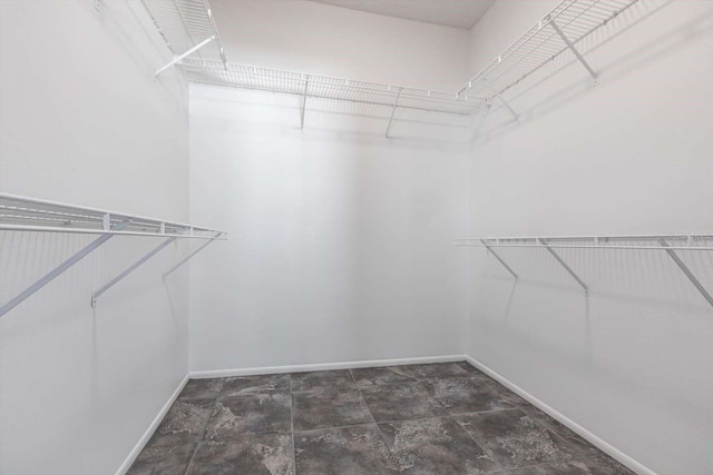 5017 46th St W, Bradenton, FL 34210 - view of spacious closet